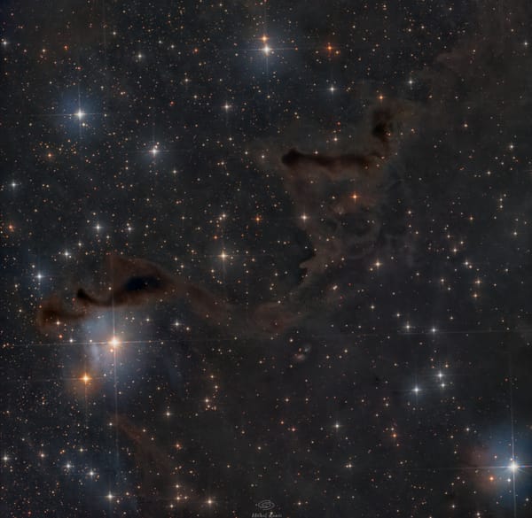 LDN 1355: Pomocna Dłoń — astrofotografia, autor Michał Kania (Konuz)