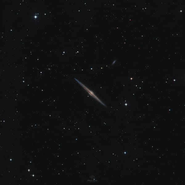 NGC 4565: Galaktyka Igła — astrofotografia, autor Michał Kania (Konuz)